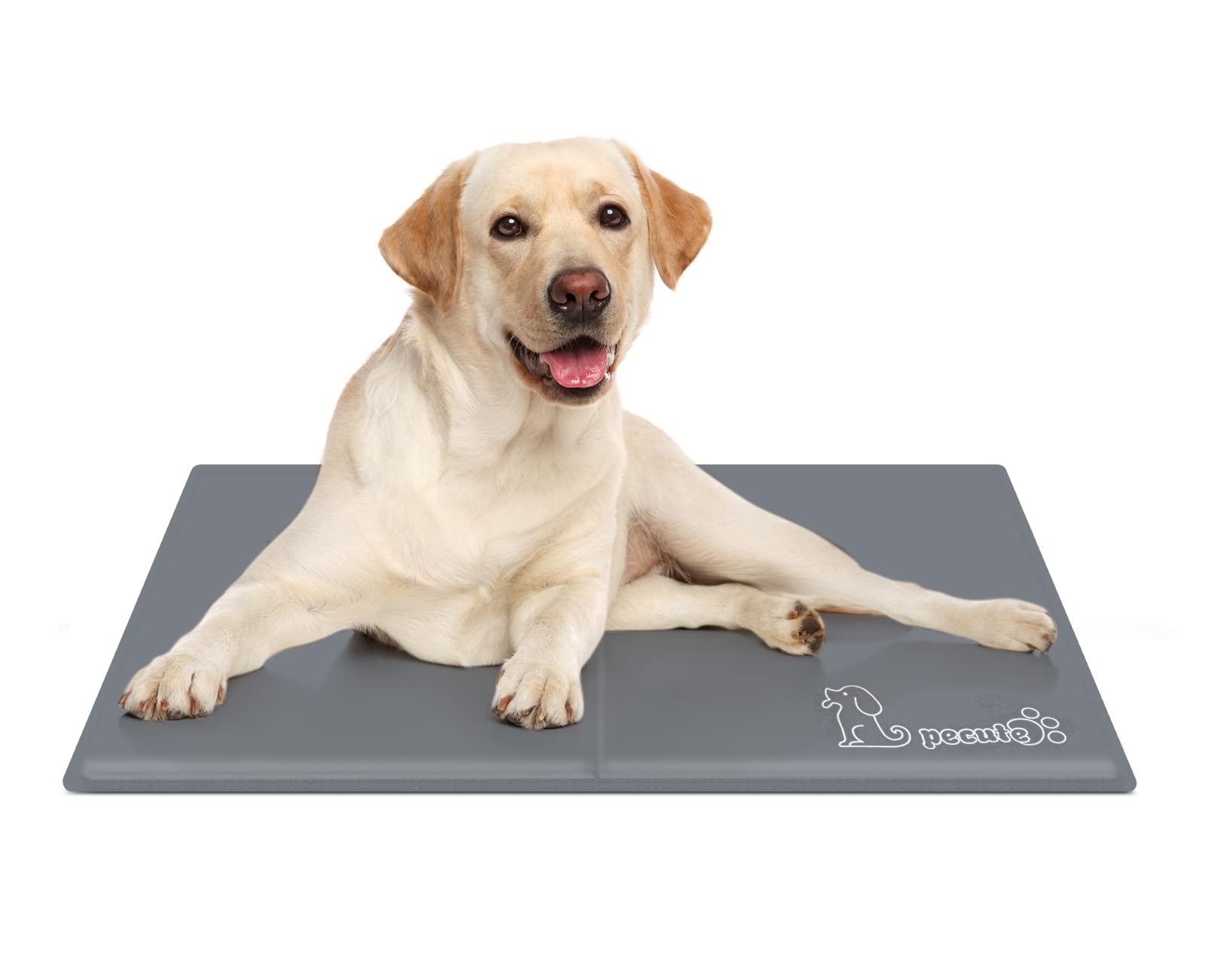 Pecute Tapis Rafraichissant Chien, Chat | M 65 * 50cm| 2021 Mise à Niveau - Reste Froid Plus Longtemps| Plus Durable - Résistant Aux Rayures(Gris) L 65 x l 50 x H 1 cm Gris